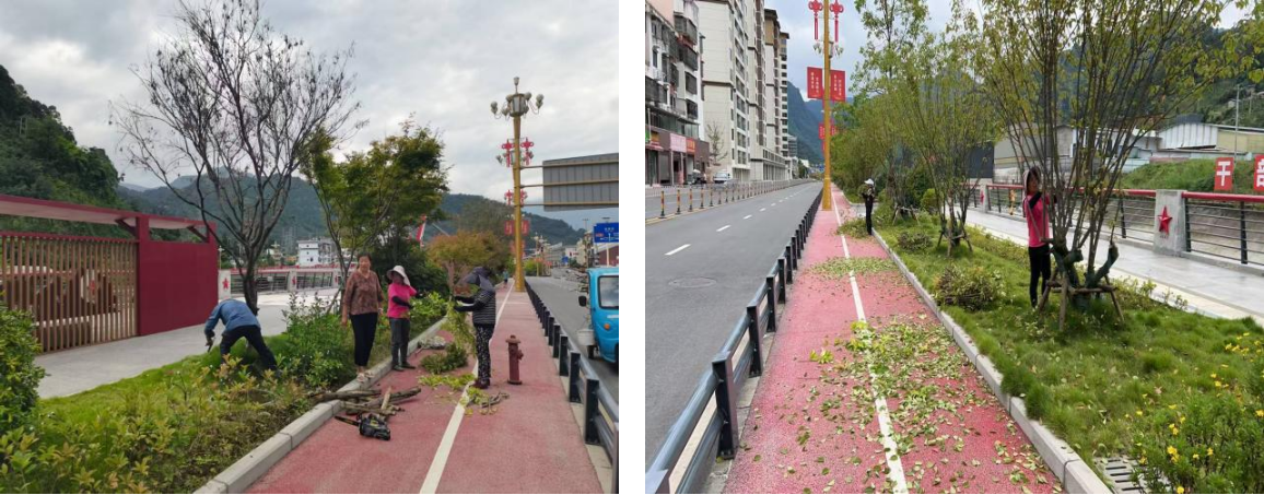 精细修剪优市容 扮靓城市迎佳节
