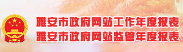 政府网站工作年度报表