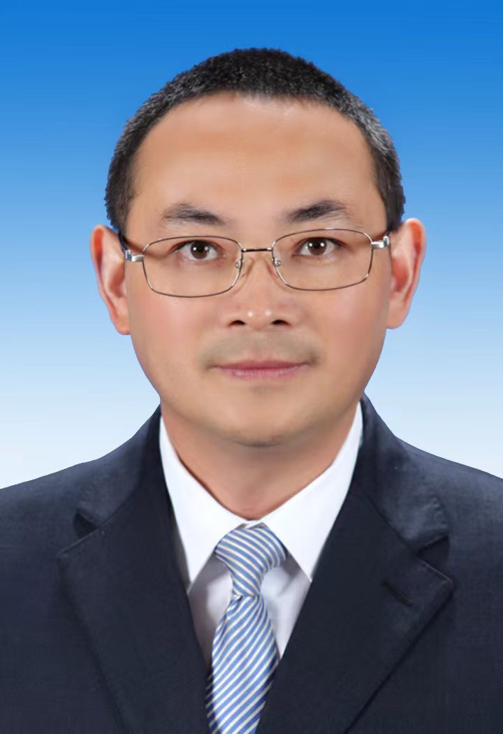 杨飞