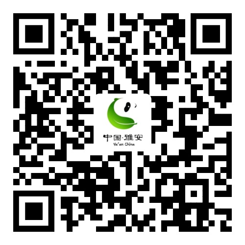 市经济和信息化局
