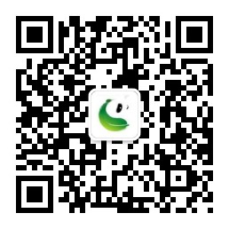市商务局