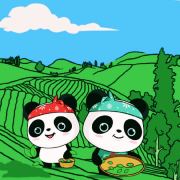市文化广播电视体育和旅游局