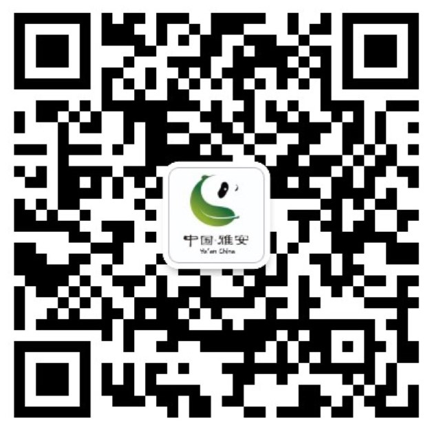 市文化广播电视体育和旅游局